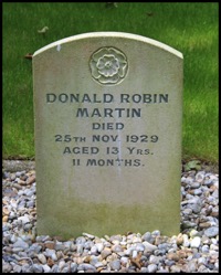9 Donald Martin Robin