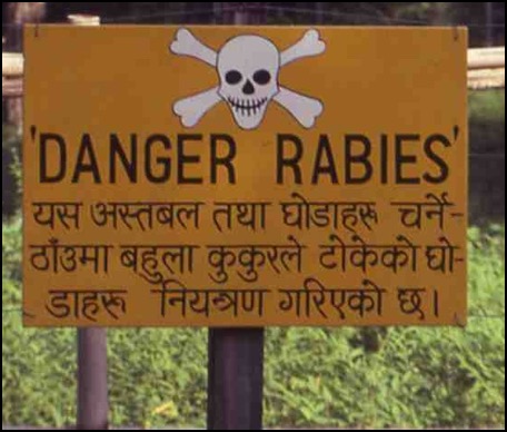 dangerrabies